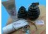 球笼修理包 CV Joint Kit:04427-12060  ZZE122