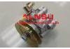 Hydraulikpumpe, Lenkung Power Steering Pump:49110-0W000