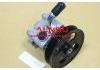 Hydraulikpumpe, Lenkung Power Steering Pump:49110-JN