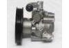 Power Steering Pump:49110-0E000