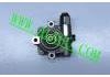 Power Steering Pump:49110-VZ00A